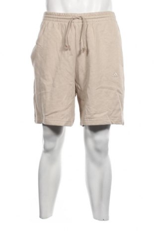 Мъжки къс панталон Adidas, Размер L, Цвят Бежов, Цена 17,40 лв.