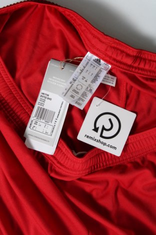 Ανδρικό κοντό παντελόνι Adidas, Μέγεθος L, Χρώμα Κόκκινο, Τιμή 26,72 €