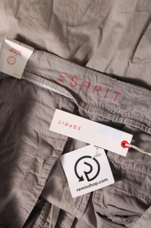 Herren Shorts Esprit, Größe L, Farbe Grau, Preis 40,36 €