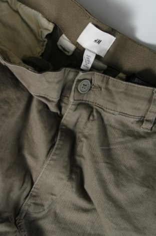 Herren Shorts H&M, Größe L, Farbe Grün, Preis 17,40 €