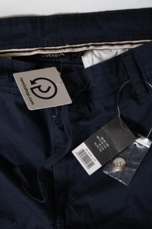Ανδρικό κοντό παντελόνι Livergy, Μέγεθος XXL, Χρώμα Μπλέ, Τιμή 24,74 €