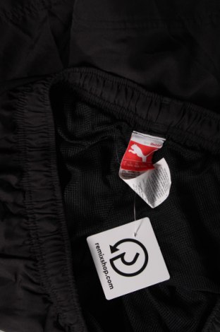 Ανδρικό κοντό παντελόνι PUMA, Μέγεθος L, Χρώμα Μαύρο, Τιμή 17,94 €