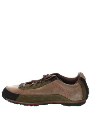 Ανδρικά παπούτσια Timberland, Μέγεθος 45, Χρώμα Πολύχρωμο, Τιμή 125,92 €