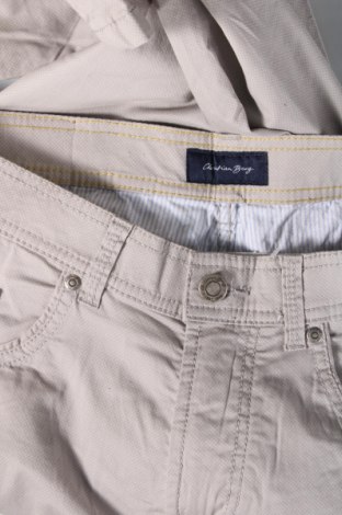 Pantaloni de bărbați Christian Berg, Mărime M, Culoare Gri, Preț 31,50 Lei