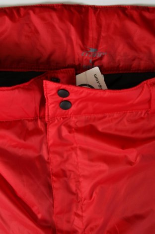 Мъжки панталон за зимни спортове Crane, Размер L, Цвят Червен, Цена 37,50 лв.