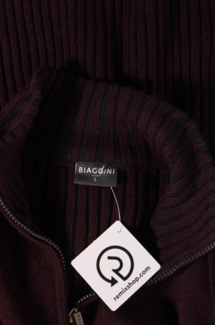 Herrenpullover Biaggini, Größe L, Farbe Lila, Preis € 7,06