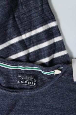 Ανδρικό πουλόβερ Esprit, Μέγεθος XL, Χρώμα Μπλέ, Τιμή 17,94 €