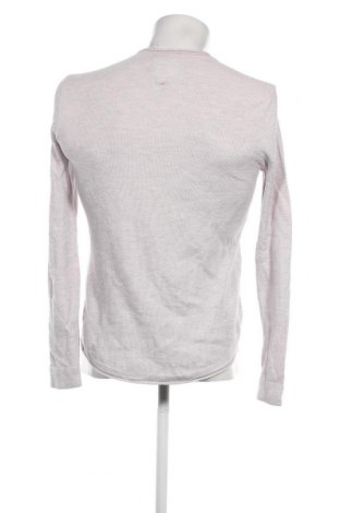 Ανδρικό πουλόβερ Hollister, Μέγεθος S, Χρώμα Γκρί, Τιμή 21,03 €
