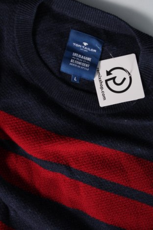 Ανδρικό πουλόβερ Tom Tailor, Μέγεθος L, Χρώμα Πολύχρωμο, Τιμή 9,69 €