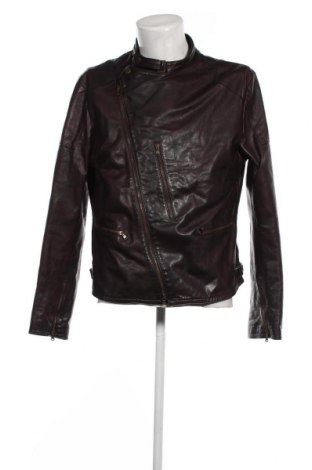 Ανδρικό δερμάτινο μπουφάν DKNY, Μέγεθος L, Χρώμα Καφέ, Τιμή 98,12 €