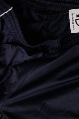 Ανδρικό αθλητικό παντελόνι, Μέγεθος L, Χρώμα Μπλέ, Τιμή 5,02 €