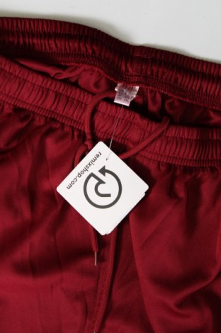 Ανδρικό αθλητικό παντελόνι, Μέγεθος L, Χρώμα Κόκκινο, Τιμή 4,66 €