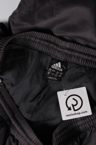 Herren Sporthose Adidas, Größe XXL, Farbe Grau, Preis 28,53 €