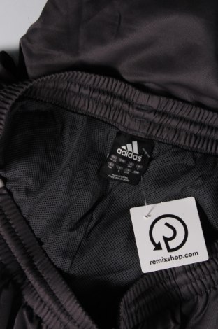 Ανδρικό αθλητικό παντελόνι Adidas, Μέγεθος XXL, Χρώμα Γκρί, Τιμή 25,36 €