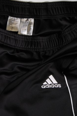 Herren Sporthose Adidas, Größe L, Farbe Schwarz, Preis 24,36 €