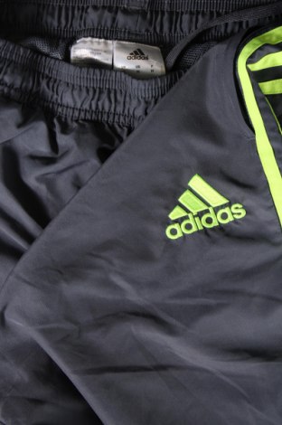 Pánske tepláky Adidas, Veľkosť M, Farba Sivá, Cena  19,85 €