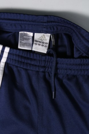 Herren Sporthose Adidas, Größe M, Farbe Blau, Preis 28,53 €