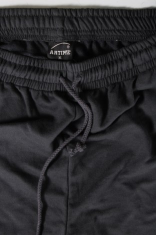 Ανδρικό αθλητικό παντελόνι Artime, Μέγεθος XL, Χρώμα Γκρί, Τιμή 7,00 €
