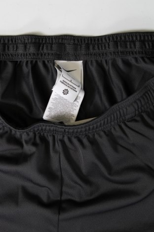 Pantaloni trening de bărbați Nike, Mărime L, Culoare Gri, Preț 286,18 Lei