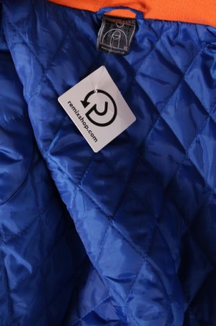 Pánska bunda , Veľkosť XL, Farba Modrá, Cena  32,89 €
