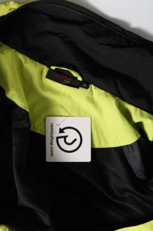 Pánska bunda  Active By Tchibo, Veľkosť XL, Farba Zelená, Cena  27,22 €