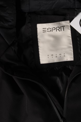 Ανδρικό μπουφάν Esprit, Μέγεθος L, Χρώμα Μαύρο, Τιμή 56,45 €