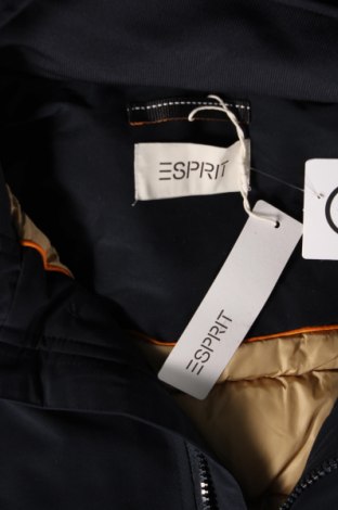 Ανδρικό μπουφάν Esprit, Μέγεθος XXL, Χρώμα Μπλέ, Τιμή 56,45 €