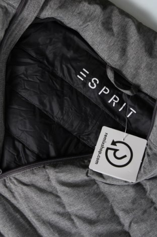 Ανδρικό μπουφάν Esprit, Μέγεθος XXL, Χρώμα Γκρί, Τιμή 31,02 €