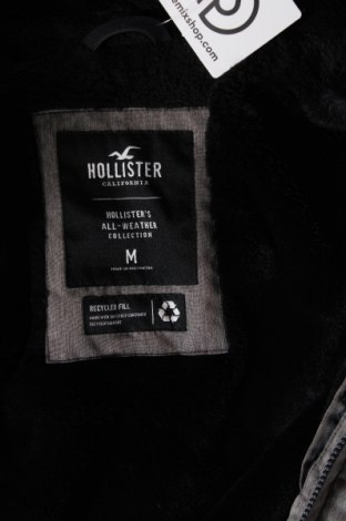 Herrenjacke Hollister, Größe M, Farbe Grau, Preis € 61,24