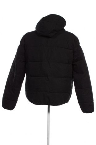 Ανδρικό μπουφάν Schott, Μέγεθος XXL, Χρώμα Μαύρο, Τιμή 155,15 €