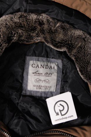 Ανδρικό μπουφάν Canda, Μέγεθος XL, Χρώμα Καφέ, Τιμή 19,02 €