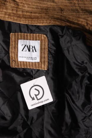 Pánska bunda  Zara, Veľkosť L, Farba Hnedá, Cena  23,25 €