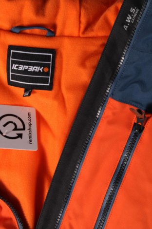 Męska kurtka do sportów zimowych Icepeak, Rozmiar L, Kolor Kolorowy, Cena 823,63 zł