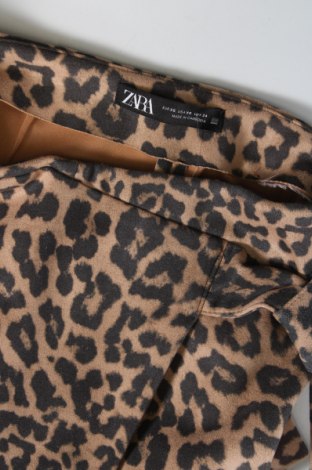 Παντελονόφουστα Zara, Μέγεθος XS, Χρώμα Πολύχρωμο, Τιμή 11,13 €