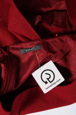 Φούστα Esprit, Μέγεθος M, Χρώμα Κόκκινο, Τιμή 9,13 €