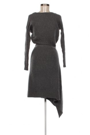 Kleid AllSaints, Größe S, Farbe Grau, Preis 133,51 €