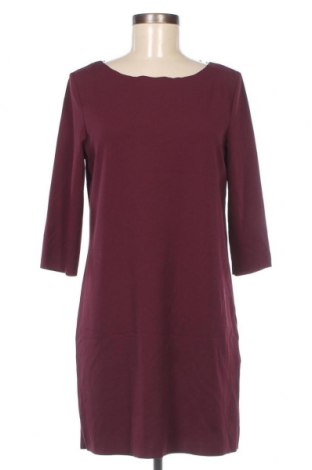 Kleid Amisu, Größe M, Farbe Lila, Preis € 4,64