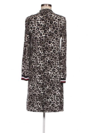 Kleid Aniston, Größe S, Farbe Mehrfarbig, Preis € 5,05
