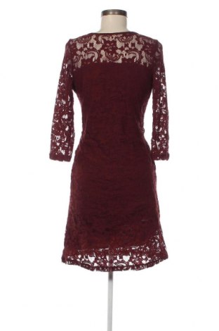 Kleid Anna Field, Größe M, Farbe Rot, Preis 10,90 €