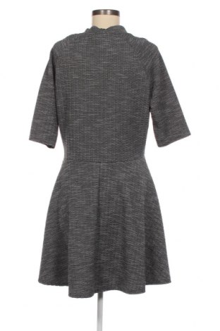 Kleid Apricot, Größe XL, Farbe Grau, Preis 22,54 €
