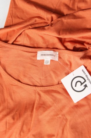 Kleid Armedangels, Größe XS, Farbe Orange, Preis € 15,54