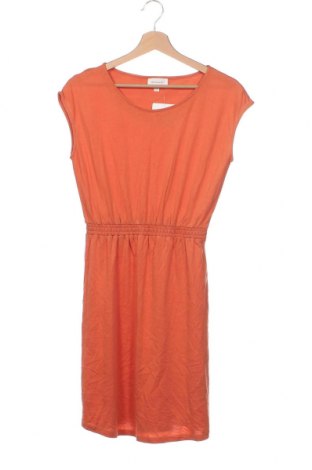 Kleid Armedangels, Größe XS, Farbe Orange, Preis 15,54 €