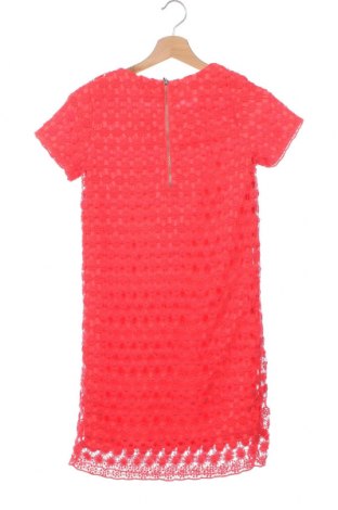 Kleid Autograph, Größe XXS, Farbe Rosa, Preis 5,93 €