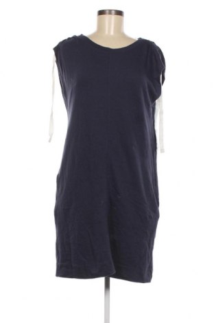 Kleid Caslon, Größe S, Farbe Blau, Preis 8,56 €