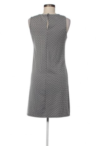 Φόρεμα Chicoree, Μέγεθος M, Χρώμα Πολύχρωμο, Τιμή 5,56 €