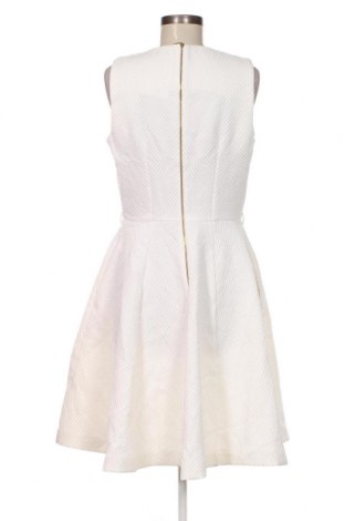 Φόρεμα Closet London, Μέγεθος L, Χρώμα Εκρού, Τιμή 49,20 €