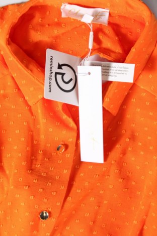 Kleid Closet London, Größe L, Farbe Orange, Preis € 38,56
