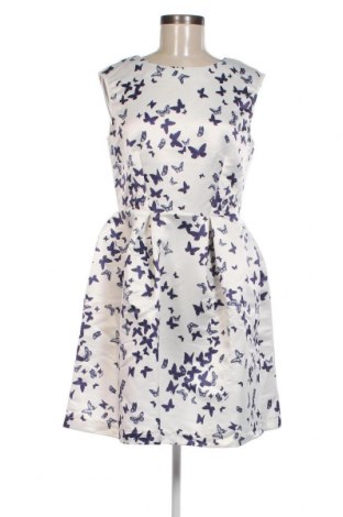 Kleid Closet London, Größe M, Farbe Mehrfarbig, Preis € 39,96