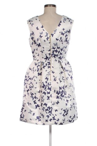 Kleid Closet London, Größe M, Farbe Mehrfarbig, Preis 105,15 €