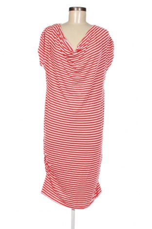 Φόρεμα Conleys, Μέγεθος XL, Χρώμα Πολύχρωμο, Τιμή 9,15 €